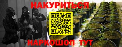 spice Чапаевск