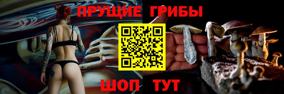 Галлюциногенные грибы прущие грибы Аша